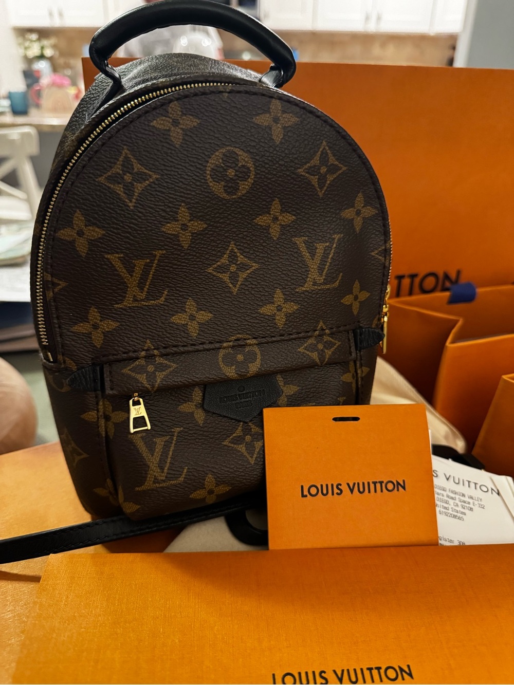 Louis Vuitton Palm Springs Mini
